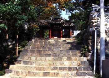 이미지