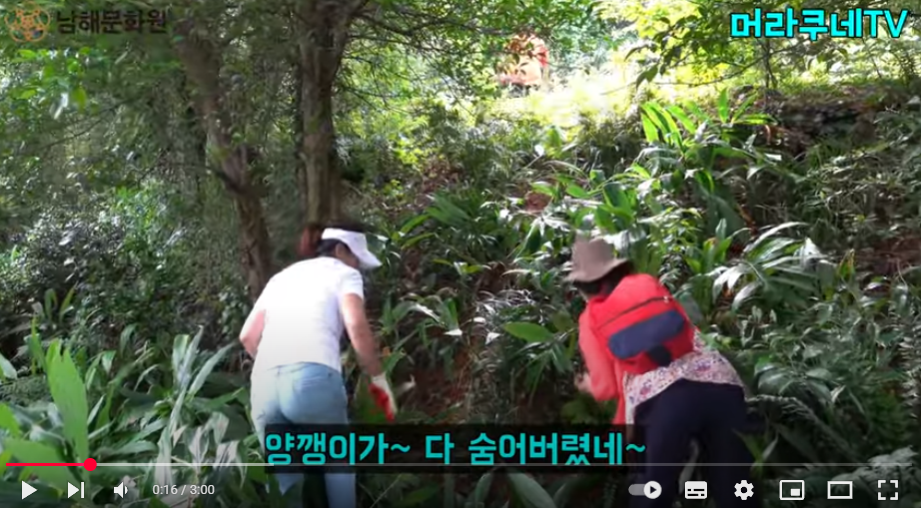 첨부파일
