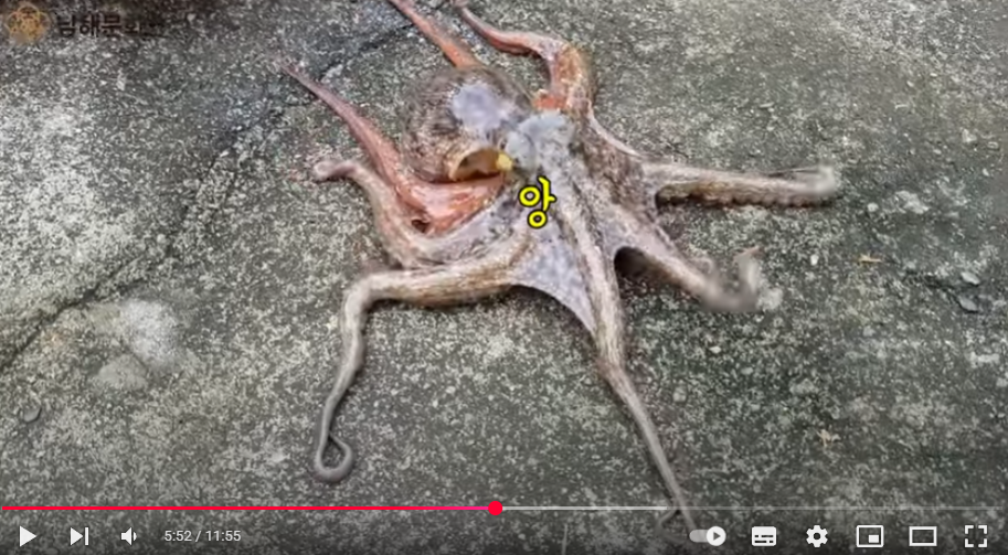첨부파일