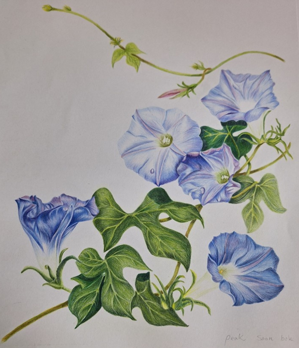 첨부파일